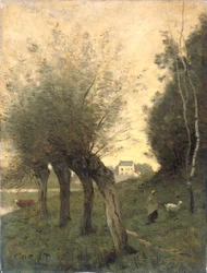 Paisagem, com, pollard, salgueiros
